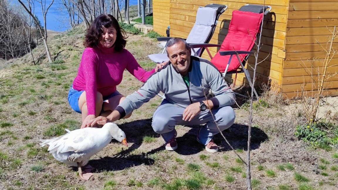Гомотарските гъски Видо, Кула и Гъмза, кучето Гошко и петелът Джизъса