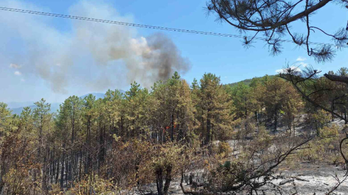 Горският пожар над село Илинденци стана върхов, ситуацията е изключително сложна (обновена)