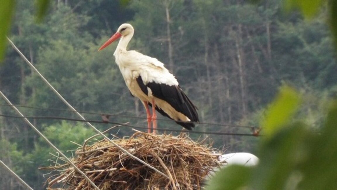 „Сюжети от деня“ с Агнес Манова