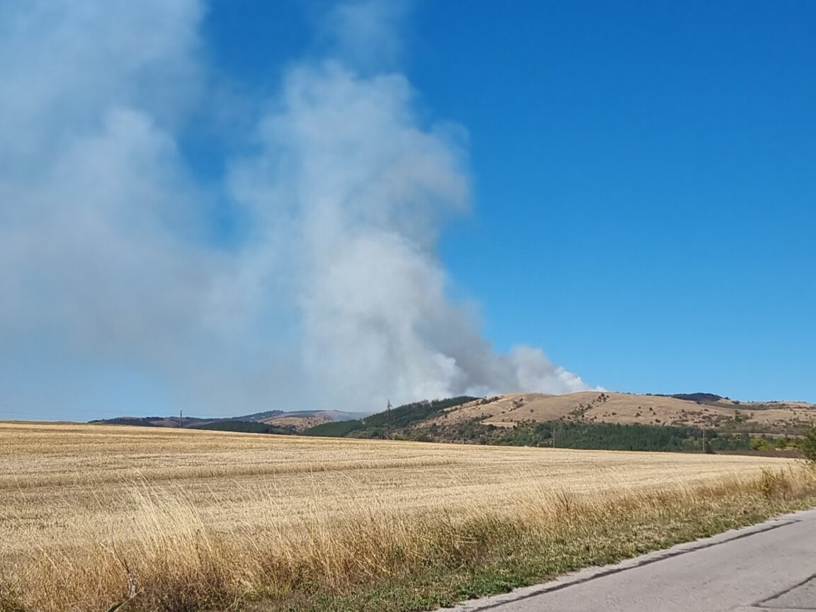 Ограничен е пожарът над село Горни Романци