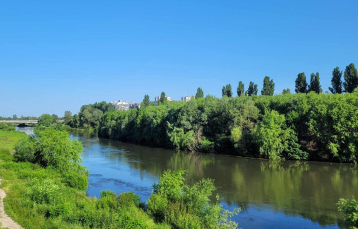 Откриха труп в Марица