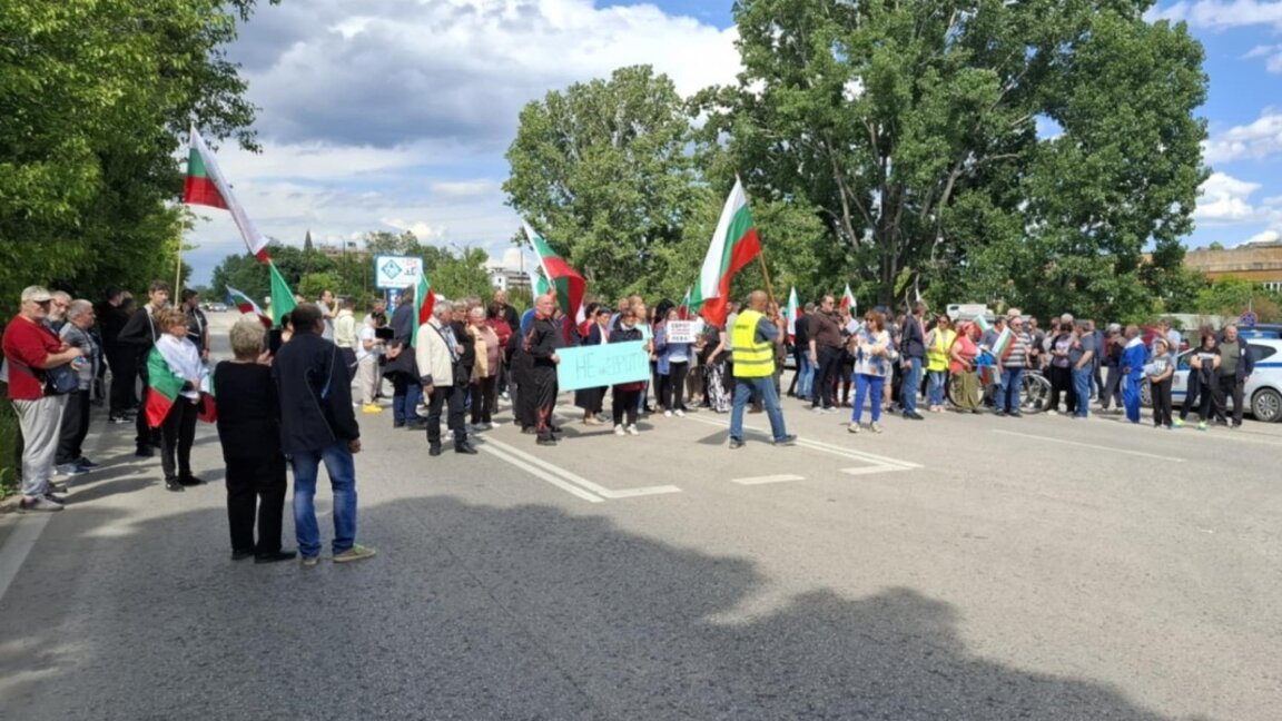 Видинчани протестираха в защита на българския лев