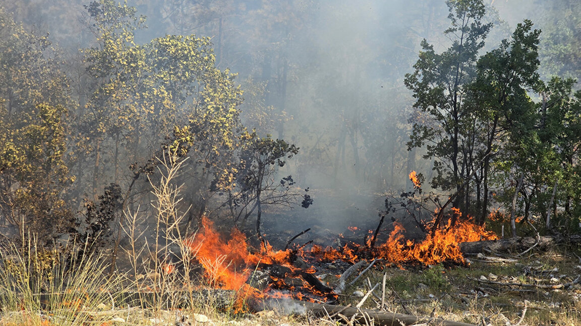 Снимката е илюстративна