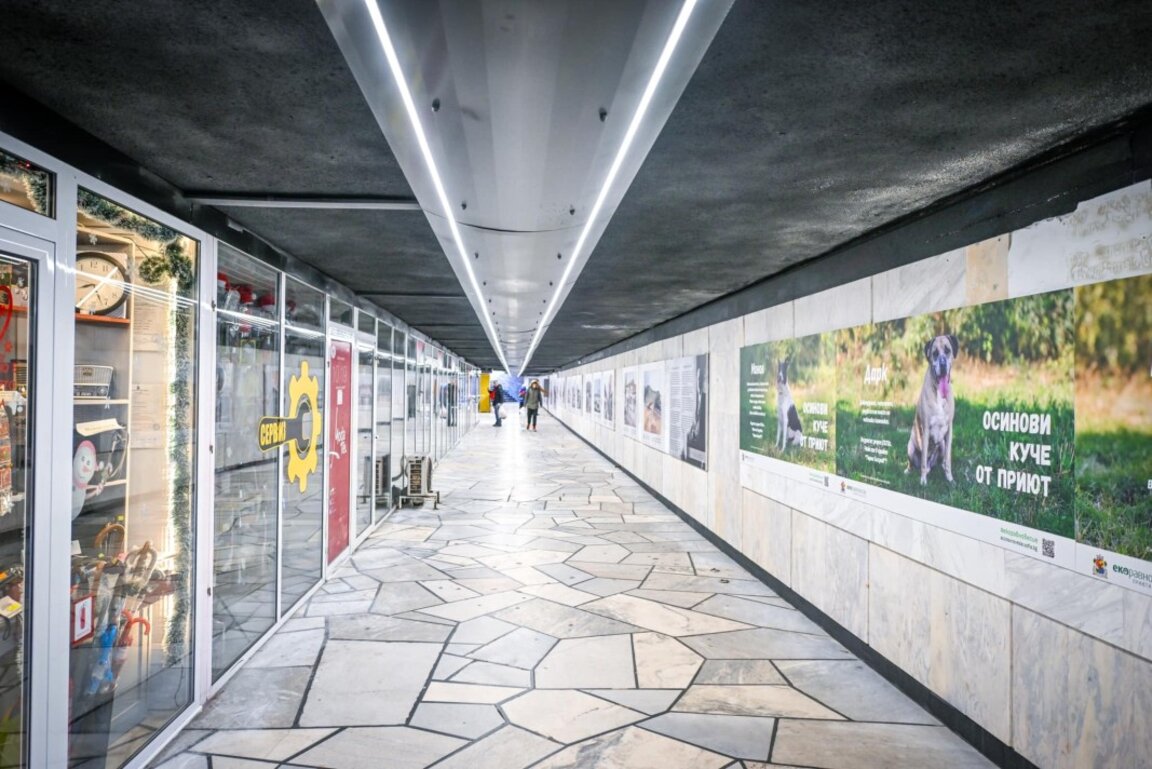 Bashkia e kryeqytetit rinovoi një nënkalim me riprodhime dhe mesazhe për kauza sociale