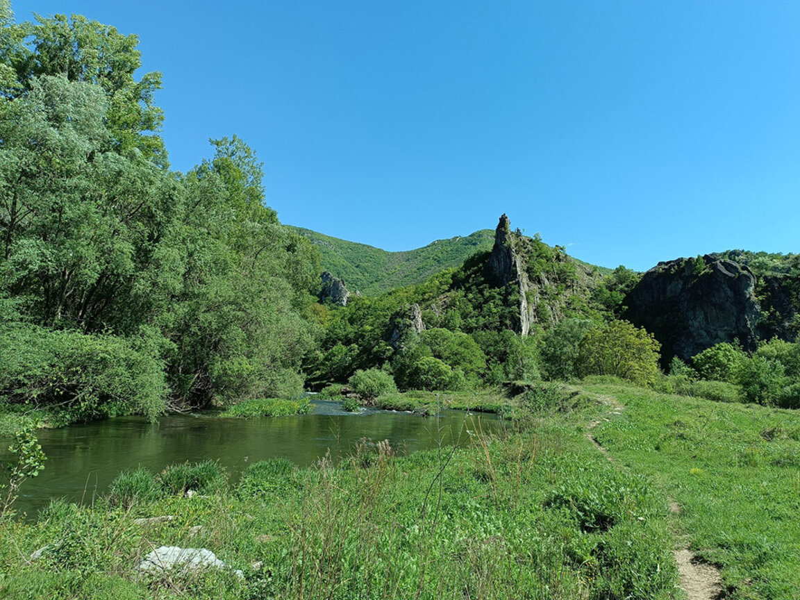 Zemen - paradise found