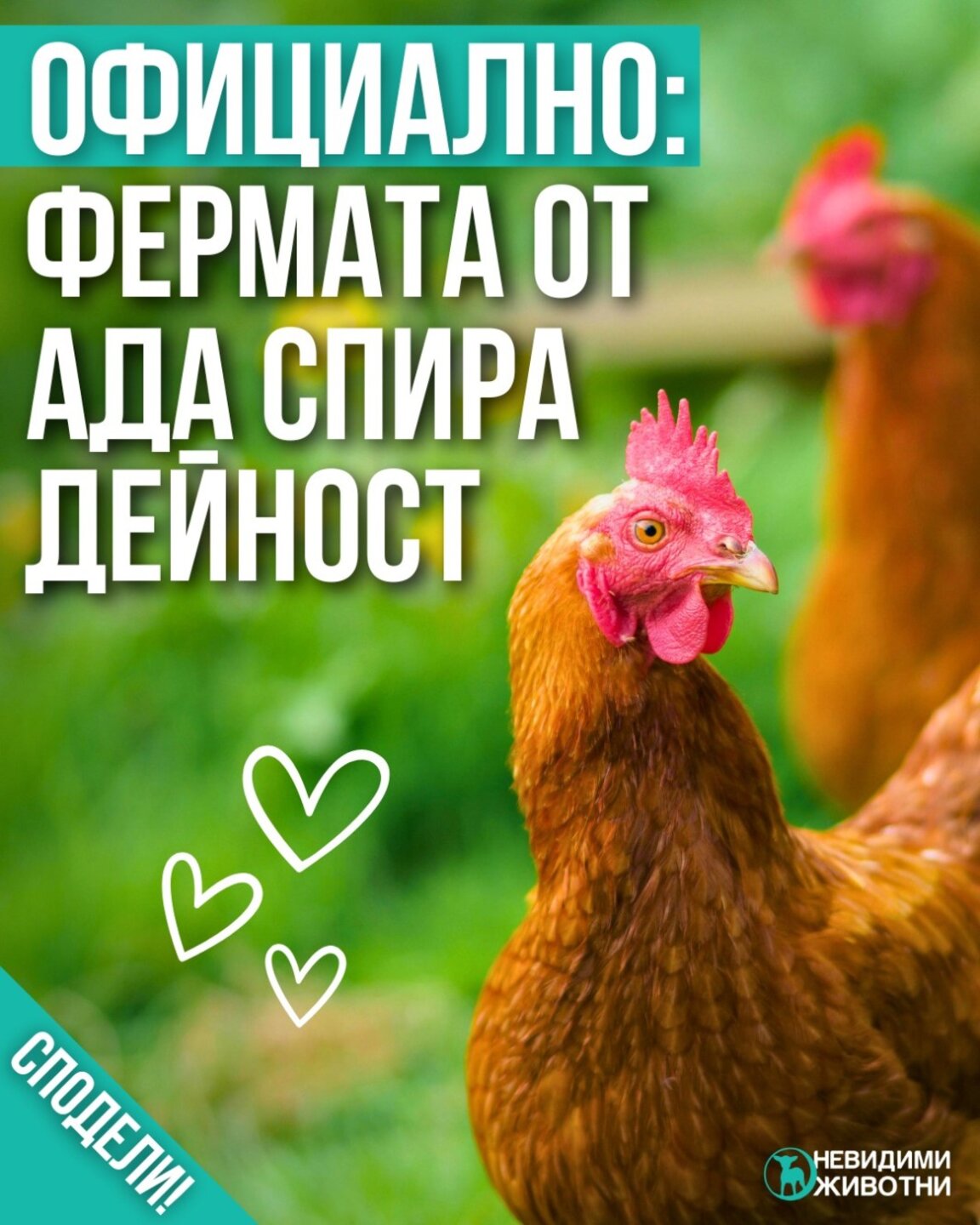 Обществото, институциите и невидимите животни в индустрията