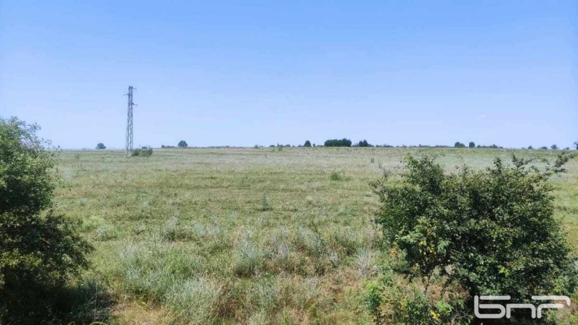 пасища в Ново село