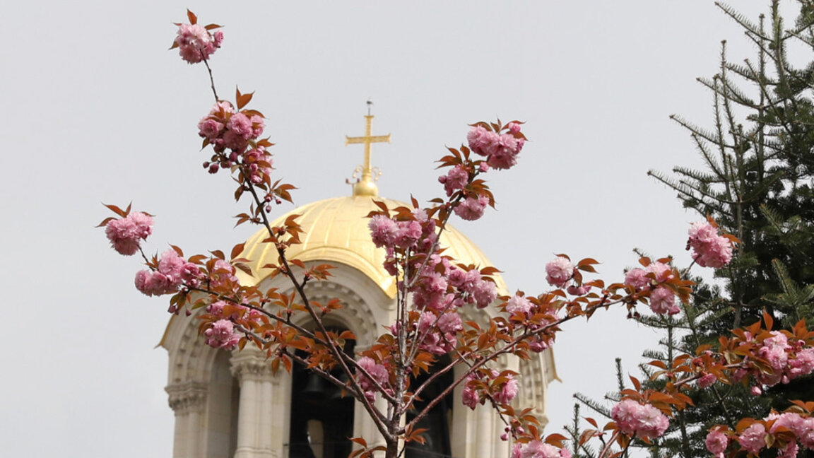 Имен ден днес празнуват Боян, Бояна, Бойко и Албена