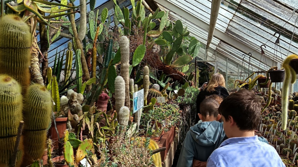 BAS Botanical garden launches ‘Spring Meetings with Plants’