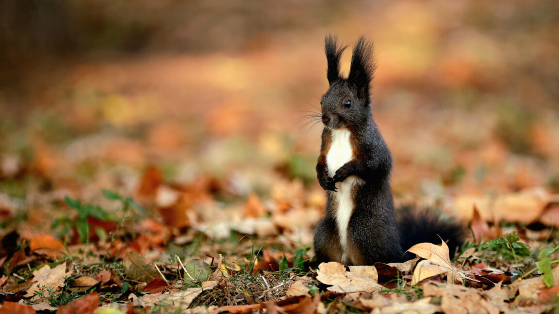 Прогноз погоды на 16 октября