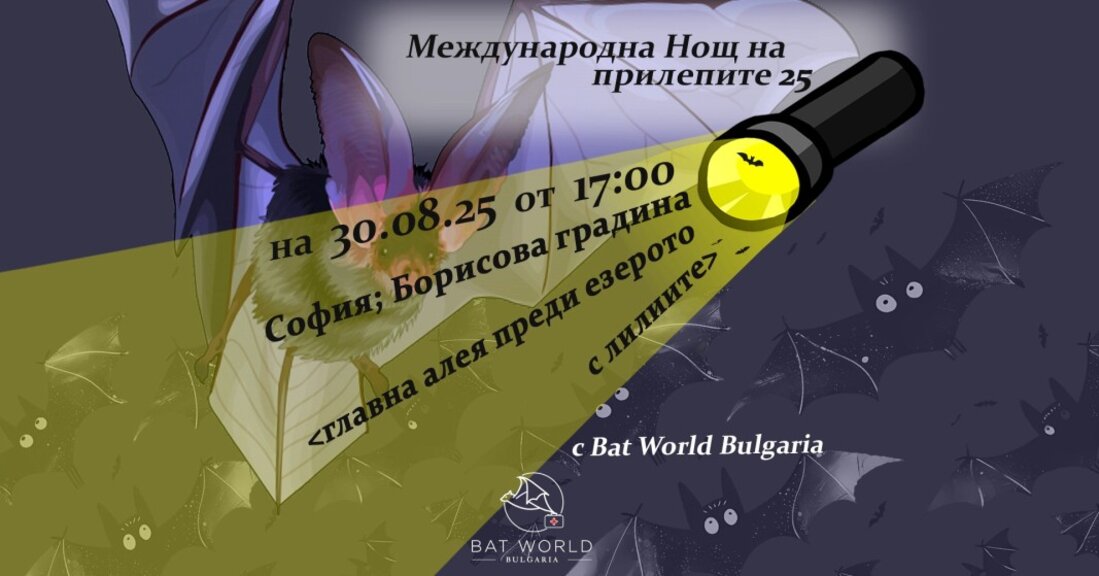 "Нощ на прилепите" отново събира любителите на природата в края на август