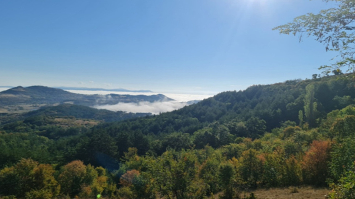 Сертифицирани гори в Югоизточна България