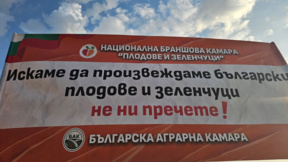 Земеделци: Липсата на държавна политика заплашва оцеляването на бранша