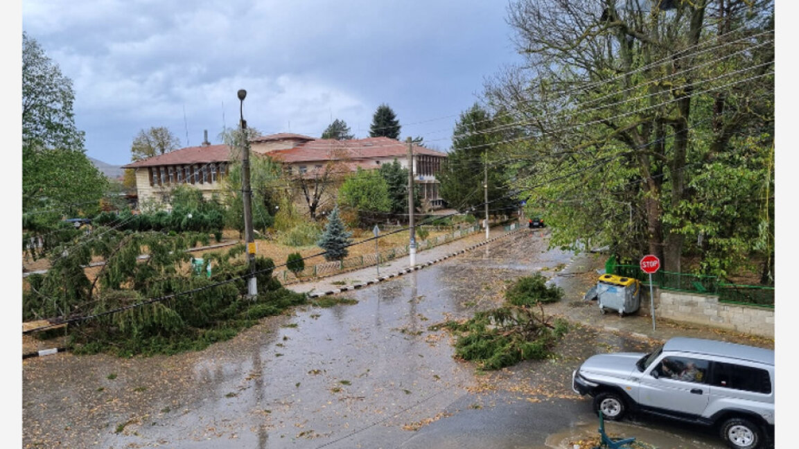 Dalgopol municipality