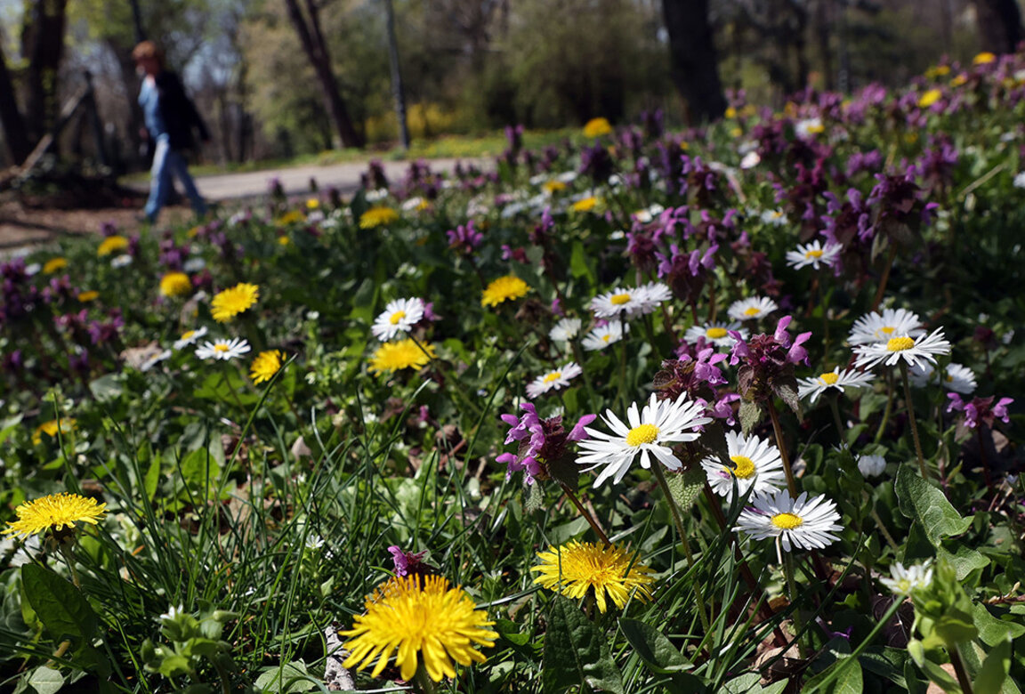 Седмицата започва със слънце