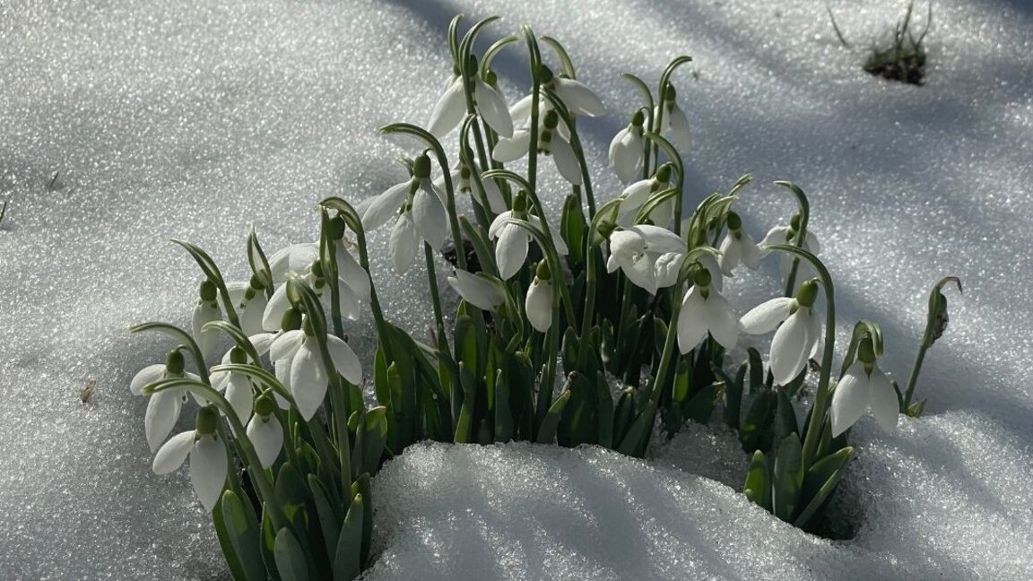 Météo : Тemps nuageux et neige en montagne...