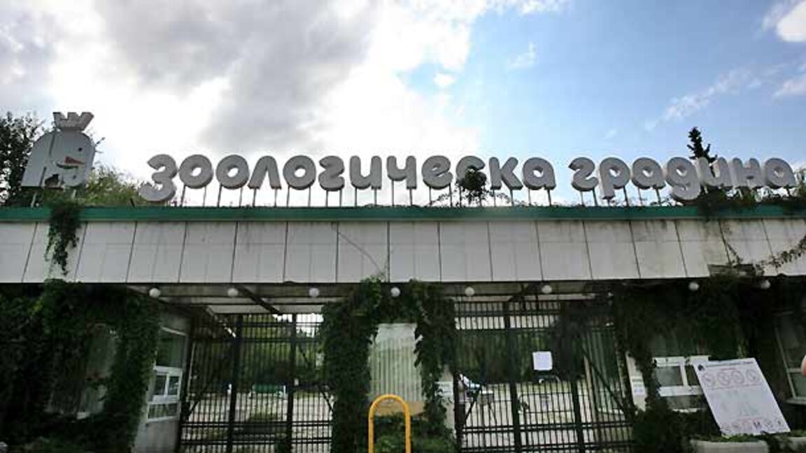 В СОС приеха: Столичният зоопарк актуализира цените