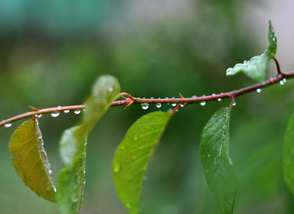 Wetteraussichten für Dienstag, den 13. Mai