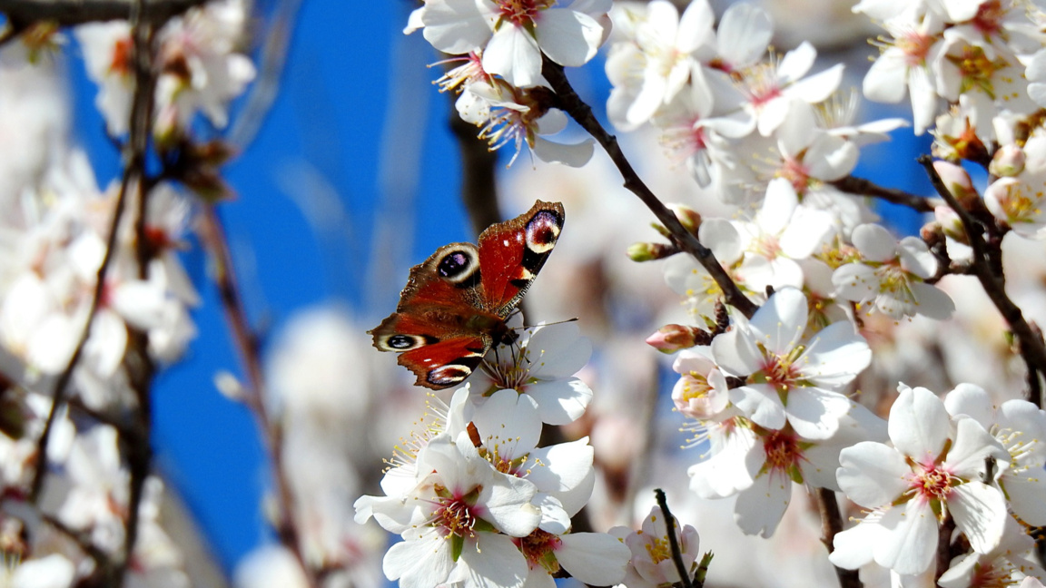 Времето остава топло, но е възможно да превали