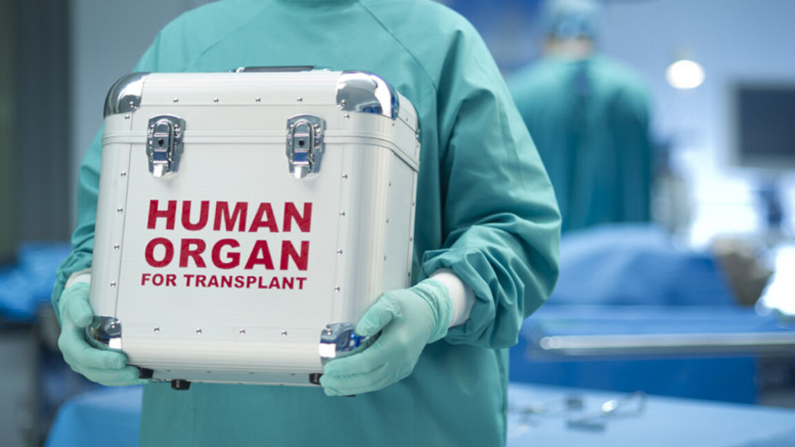 48 personnes continuent de vivre grâce à une greffe d'organe en 2023