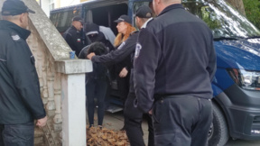 В Свищов започна делото срещу обвинените в жестокост към животни