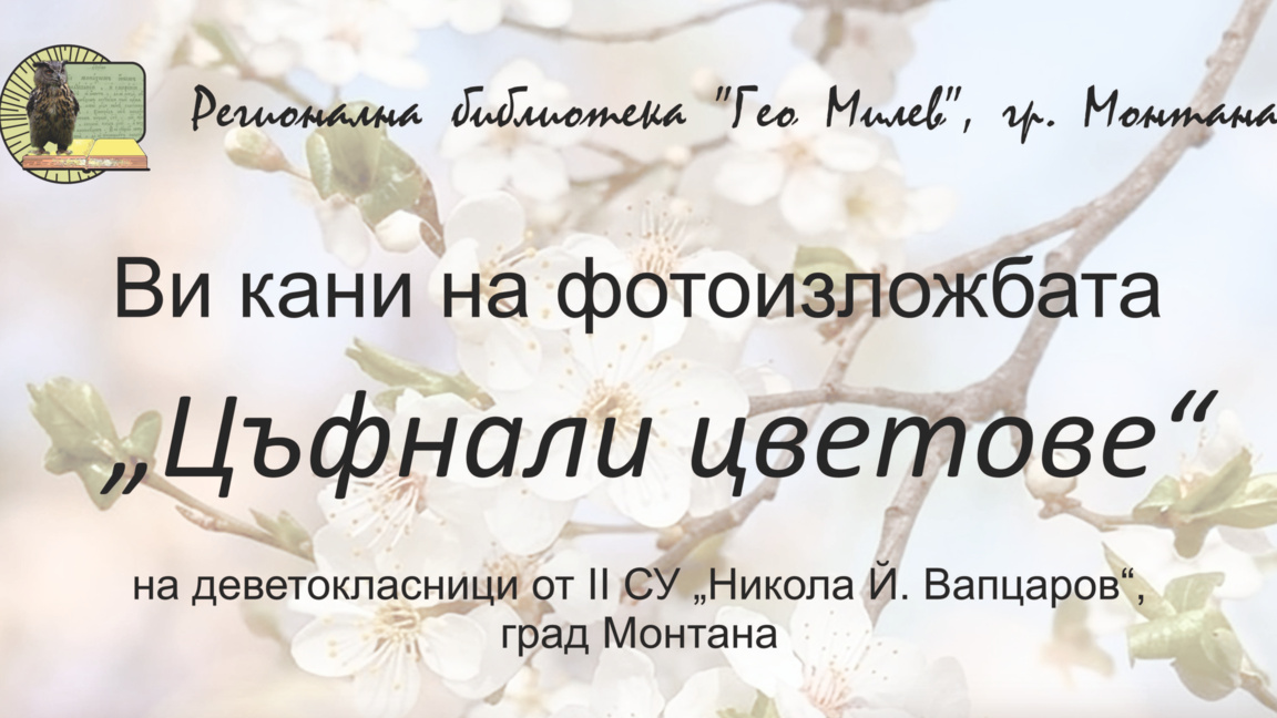 Ученици откриват фотографска изложба в Монтана