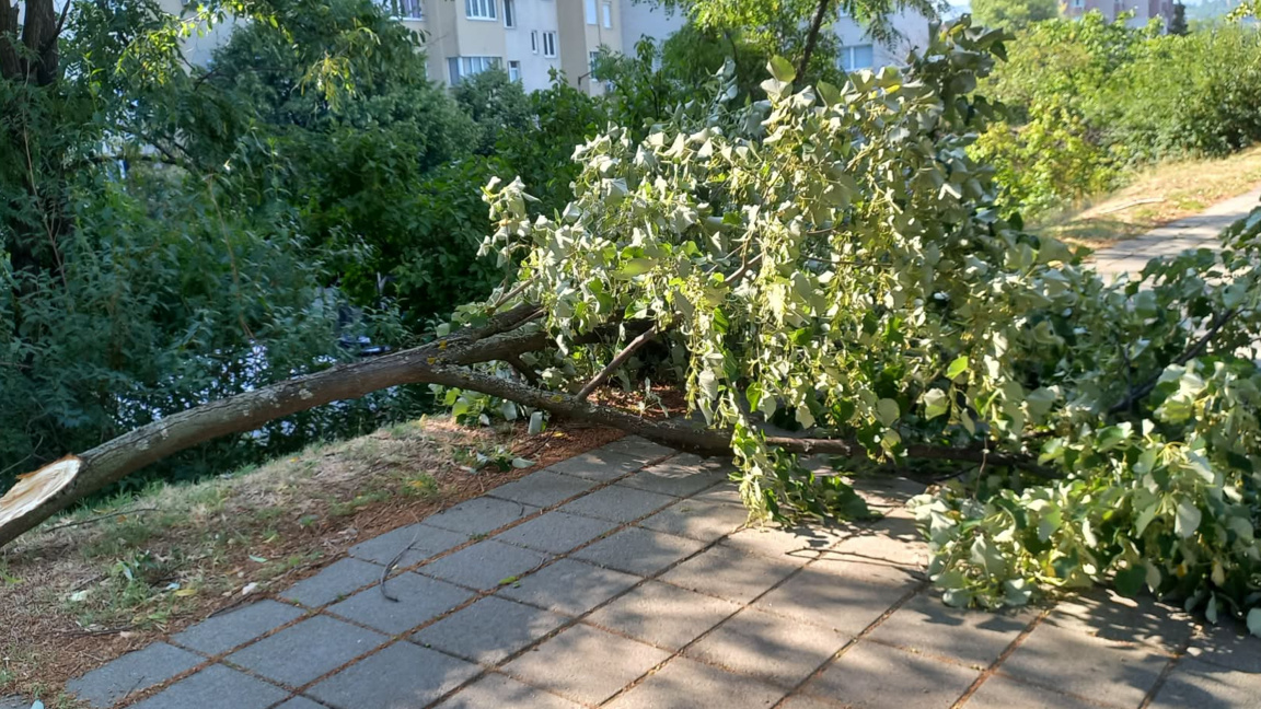 Община Благоевград търси начини за подпомагане на засегнатите след бурята