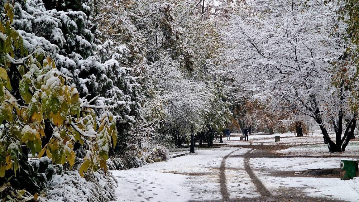 Der erste Schnee hat Sofia verwandelt