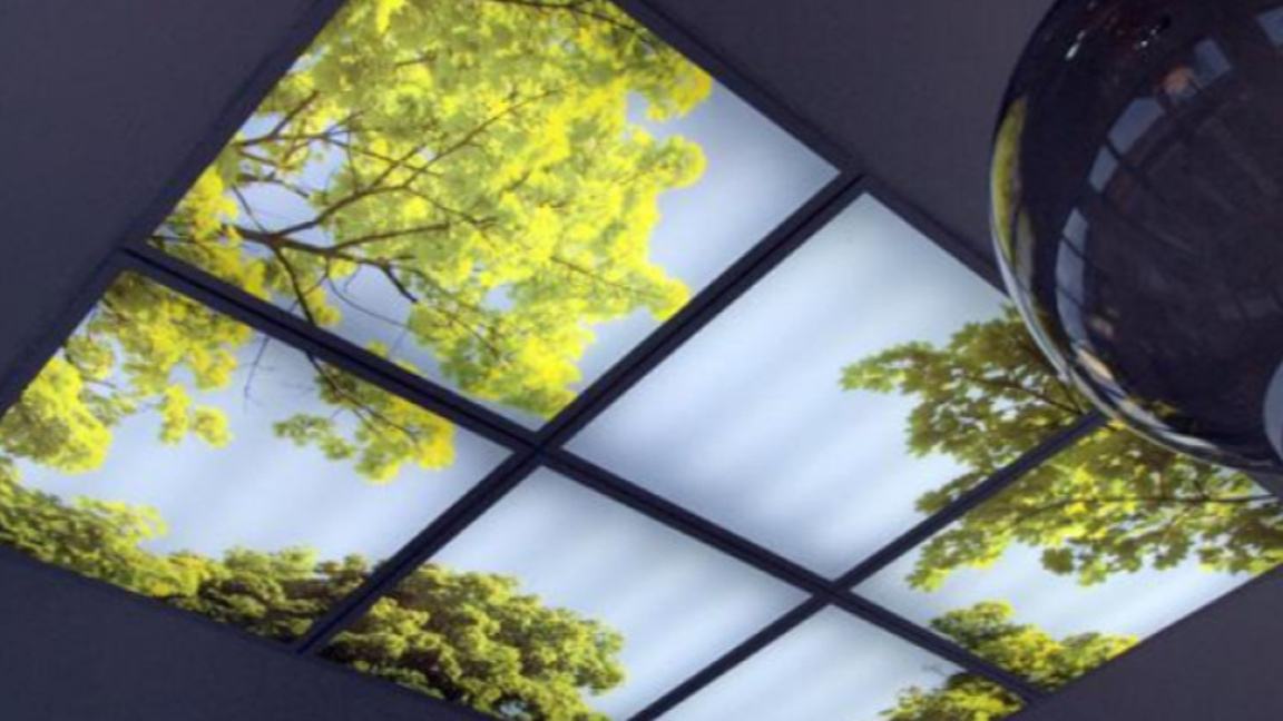 На отворен прозорец