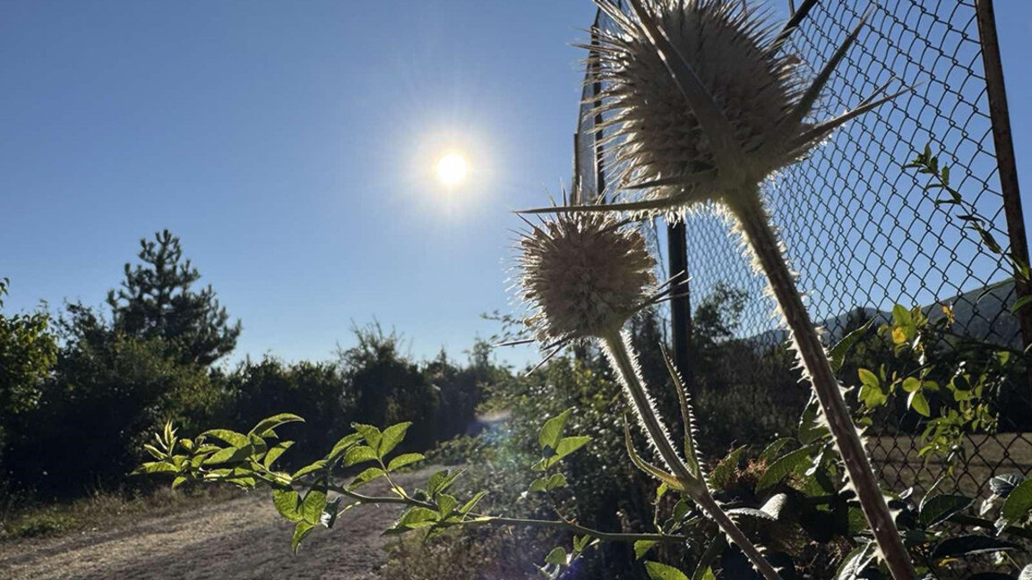 Météo : Soleil le matin, averses l'après-midi...