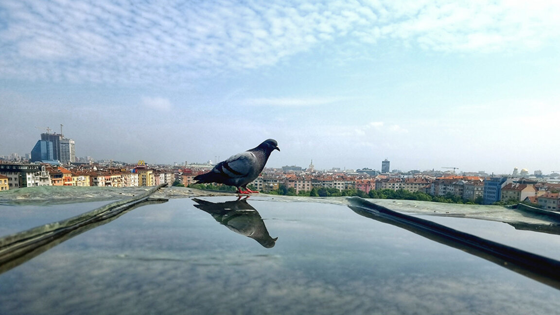 Sunny and hot weather expected on Wednesday