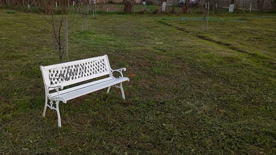 С "Денят на совите" и в четвъртък