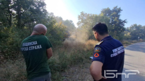 Обявиха бедствено положение в община Болярово заради голям пожар (обновена)