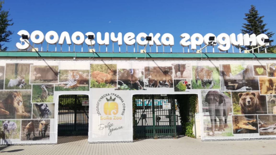 Зоологическата градина в София преминава на лятно работно време