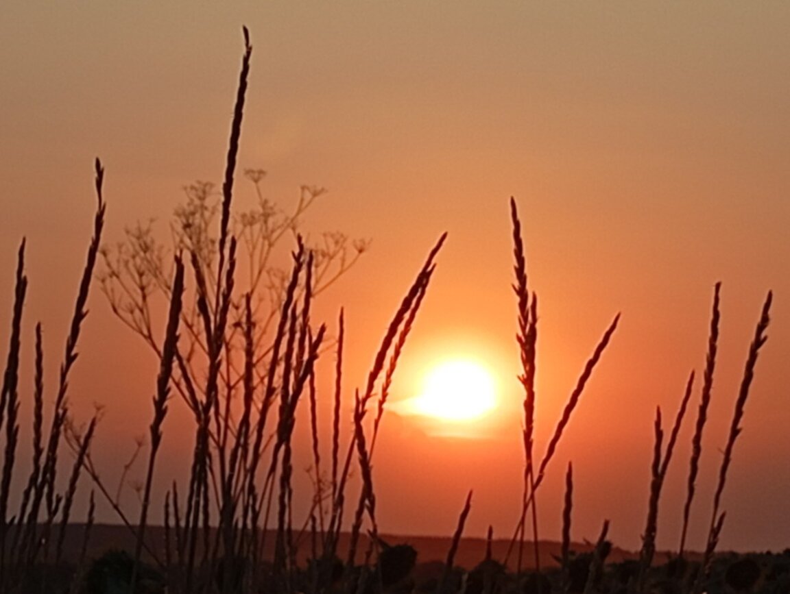 С ,,По първи петли" в петък от Радио Шумен