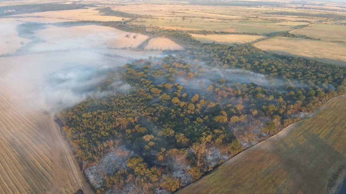 Локализираха пожара край брезовското село Стрелци