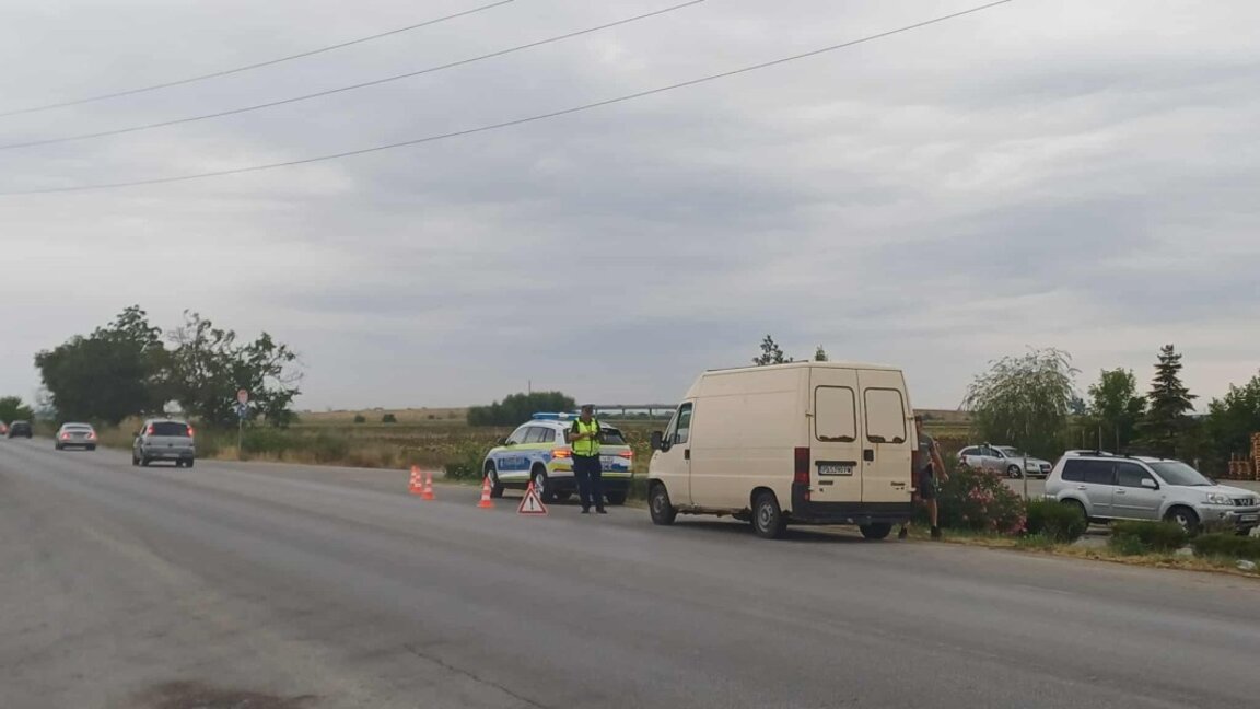 Мащабни проверки за нелегален трафик на животни