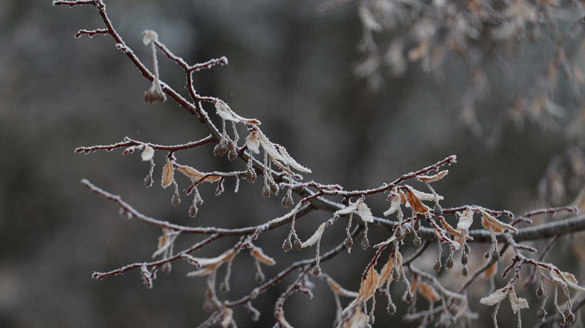 Cold wave with rain and snow to sweep across Bulgaria on Thursday