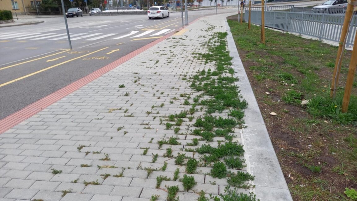 Трева превзема тротоарите край „Арена Шумен“