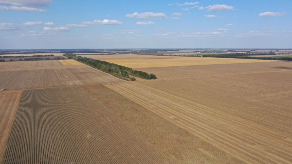 Dobrogea