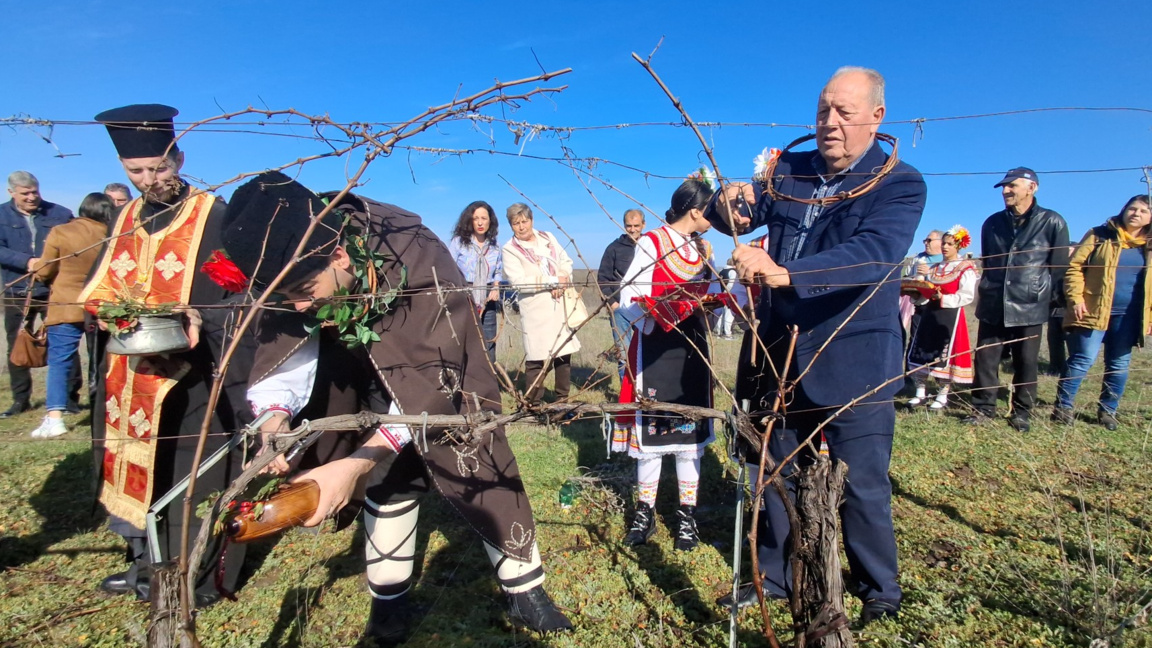 С ритуално зарязване и празнично шествие Болярово отбеляза Трифон Зарезан