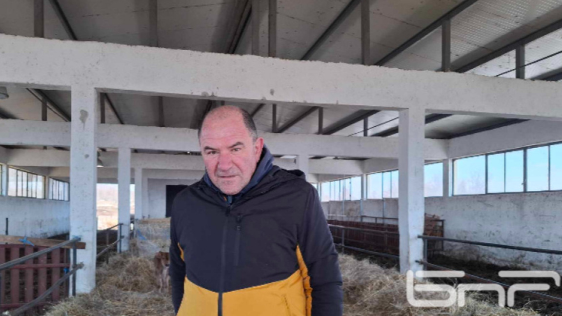 Бойко Синапов: Има достатъчно български агнета за Великден и Гергьовден