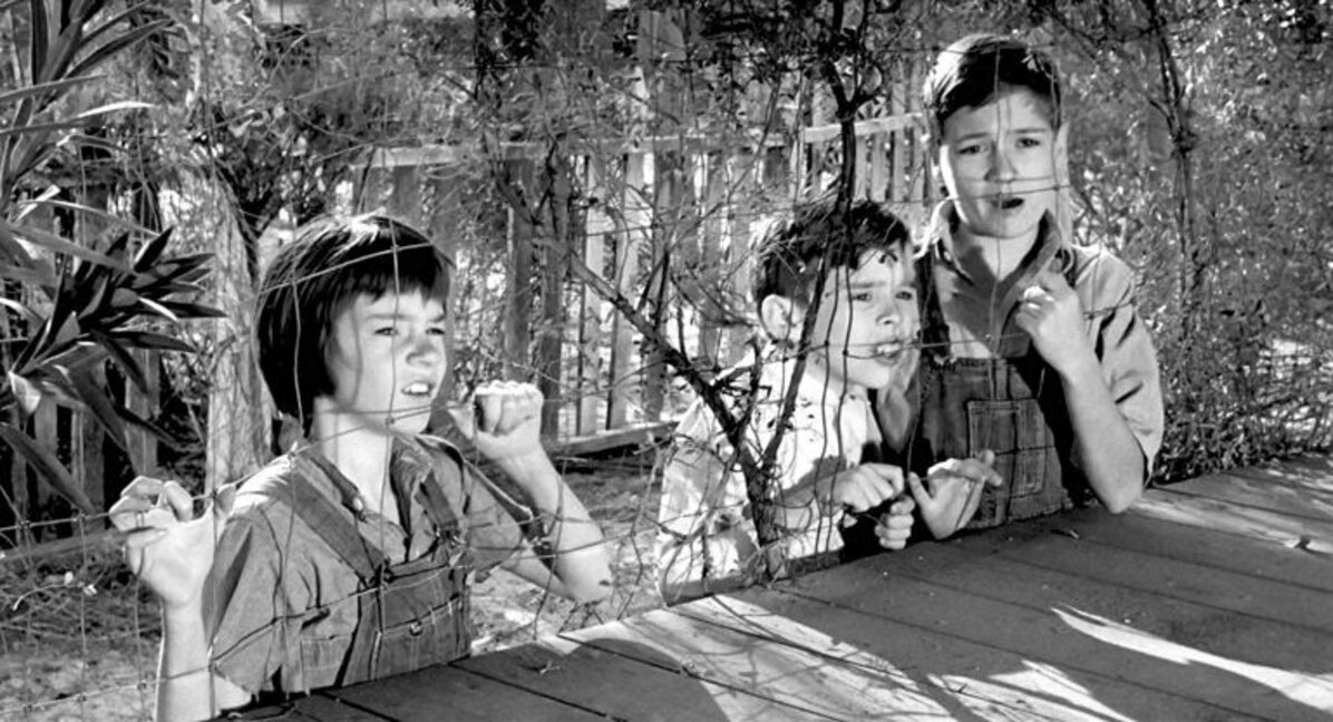 Кадър от филма "Да убиеш призмехулник" (1962)