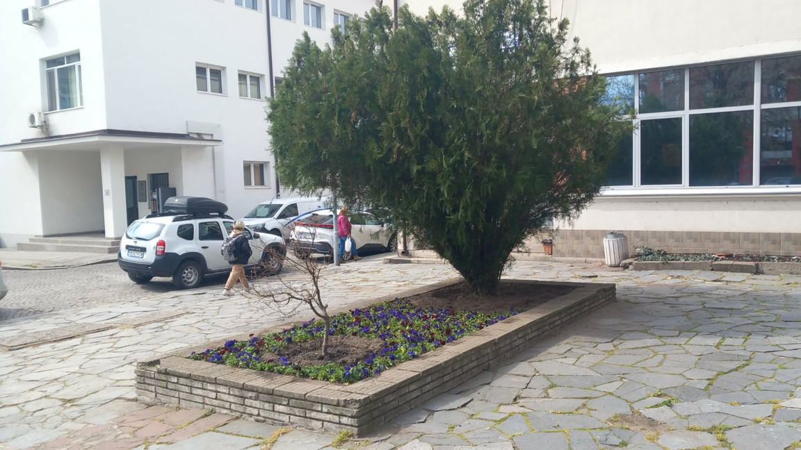 Нова градинка краси площад "Журналист"