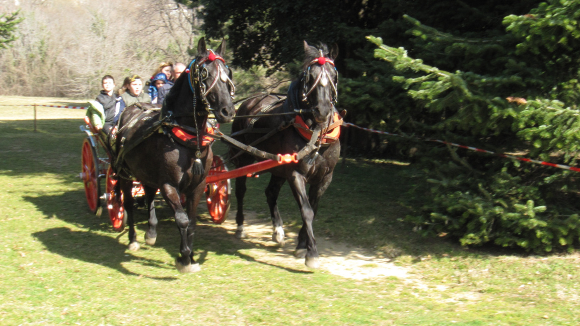 Кушия в Екопарк-Варна 2017