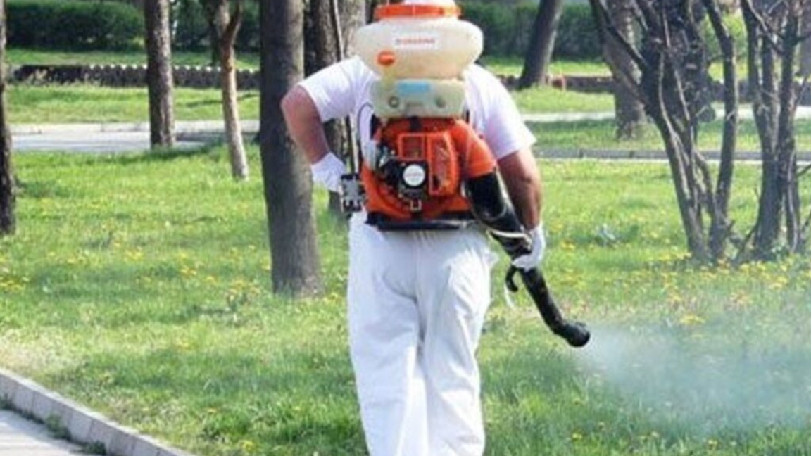 Пръскане срещу комари