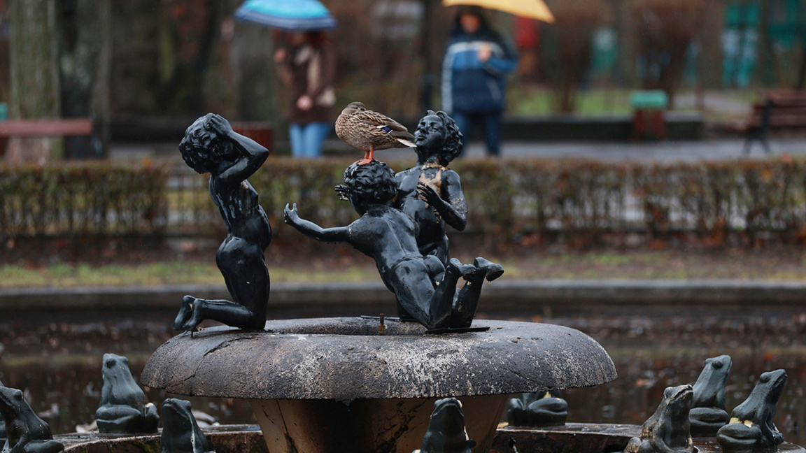 Sabah saatlerinde yağışlar dinecek, öğleden sonra tekrar başlayacak