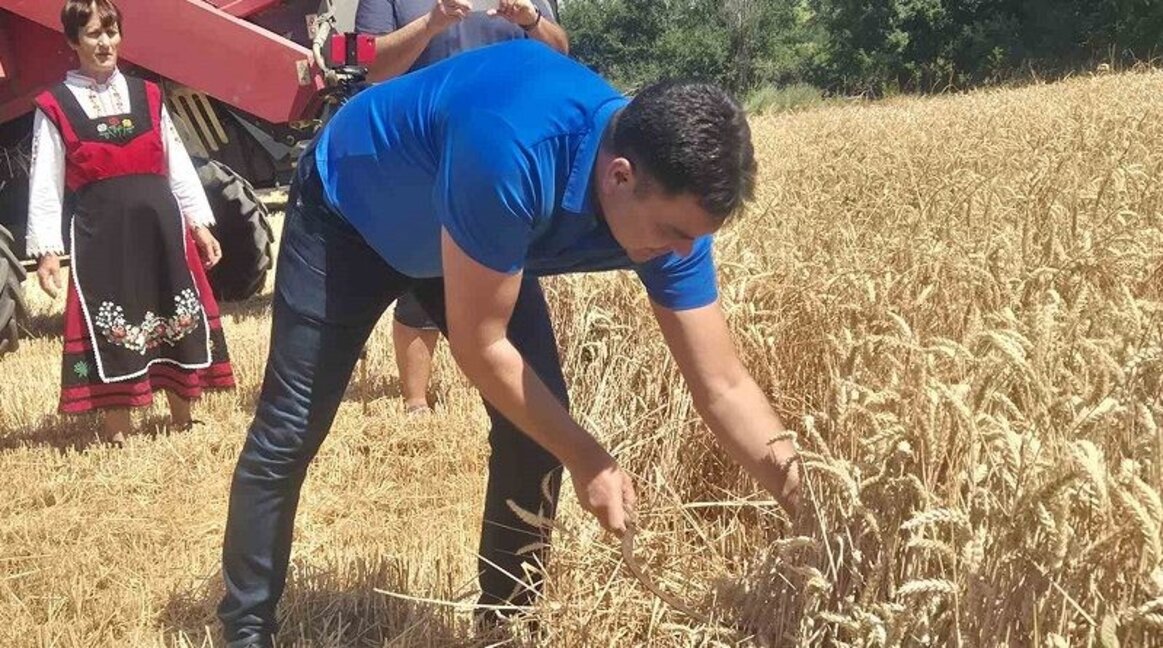 Започна жътвата в Димитровград