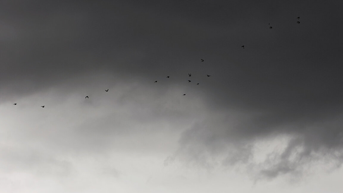 Weather forecast: Rainy Tuesday, temperatures remain above zero