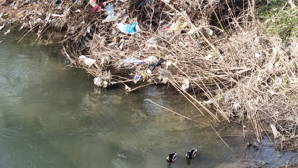 Около 50 тона отпадъци са събрани в "Люлин" в София